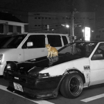 猫好きクラブー98