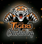 Tigers Cheerleading 彡