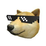 #DOGECOOL