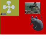 penguins and rats club