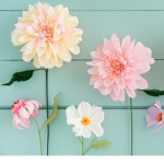 Aestetic Flowers