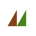 Pine Game Development