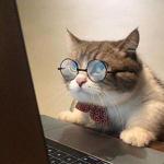 meow_cat_meow