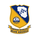 Virtual Roblox Blue angels team