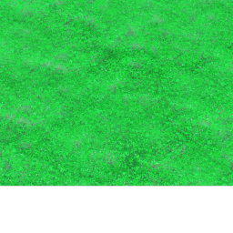 Whats grass