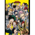 My Hero Academia Fan CIub