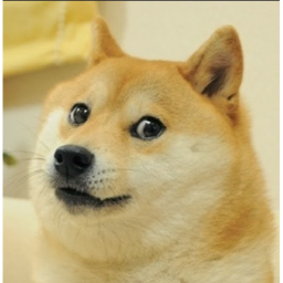 Meme Pet Simulator