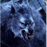 THE WOLF ALPHA PACK