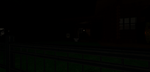 The forest3007