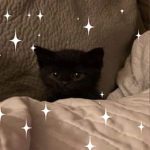 bladeski