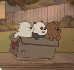 Elina →Emila →Coco gang