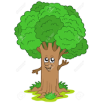 The Tree Fan Club