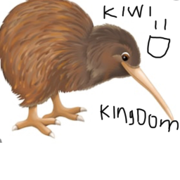 THE KIWI KINGDOM! (alpha)