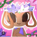 Schokocookie