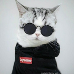 MuhammedXD
