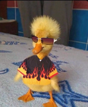 DokeyJuinor