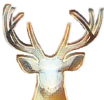 BUCK!