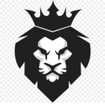 Young Lions F.C.