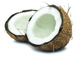 Coconut squad!! <3