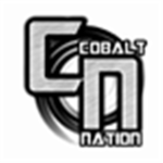 Cobalt Nation Assassin Squad