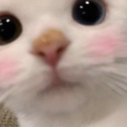✦