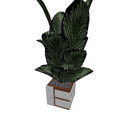 Plant