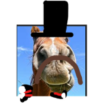 th thes nhorse