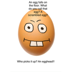The group of egg heads