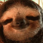 SlothLoversz