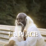 «ZEN»