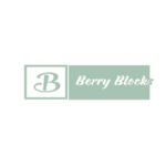 berry blocks :)