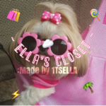 • єℓℓαѕ ¢ℓσѕєт •