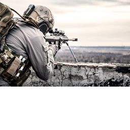 kill and hunt