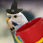 Spooky Birds