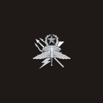 Regimental Recοnnaissance Company