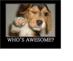 ...whos AWESOME...