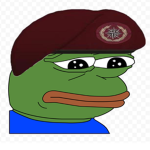 Alpine Security Corps