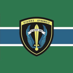 1st Paratroopers Brigade
