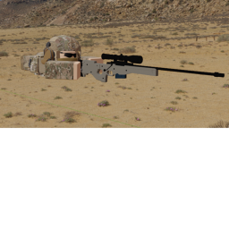 UDT/SEAL Camp