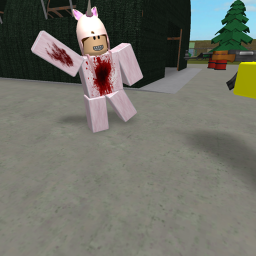 War Zone!!!