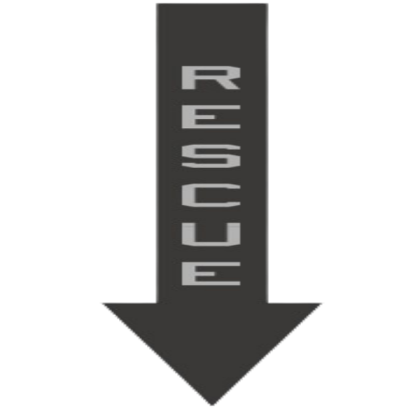 Rescue Arrow Low-Vis