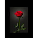 #soloteraporquequiero ;)