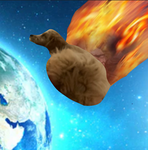 |+ Fluffy Clan +|