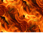 The Flames fan group