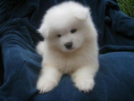 Saving and loving animals!!!