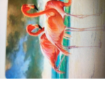 I love flamingo The YouTuber