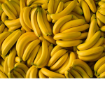 TROLLBANAS