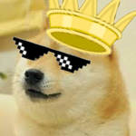 The Doge Cult :)