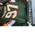 Minnesota wild hockey fan group