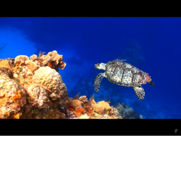 The Vast Ocean (Beta!) icon